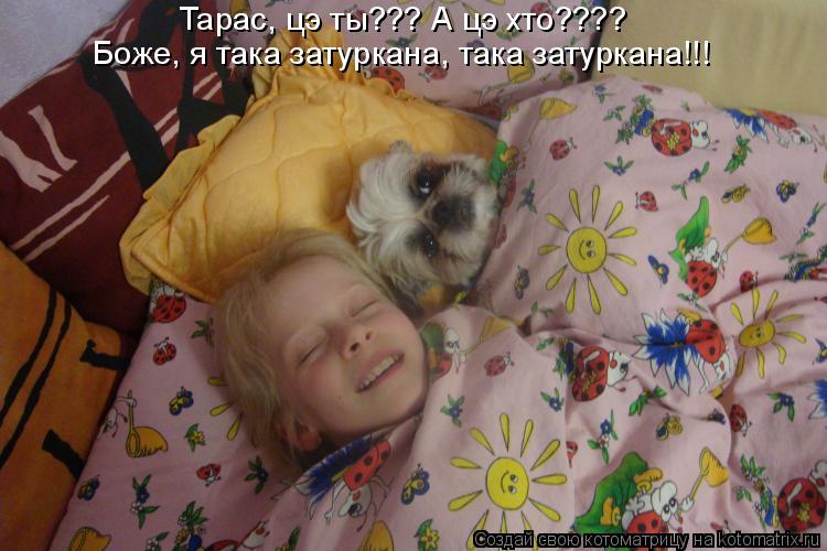 Котоматрица: Тарас, цэ ты??? А цэ хто???? Боже, я така затуркана, така затуркана!!!