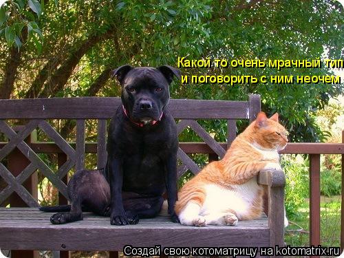 Котоматрица: Какой то очень мрачный тип и поговорить с ним неочем
