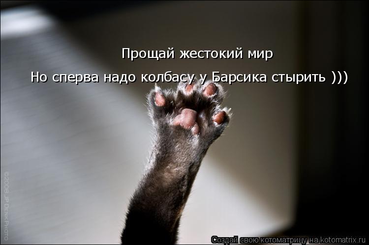 Котоматрица: Прощай жестокий мир Но сперва надо колбасу у Барсика стырить )))