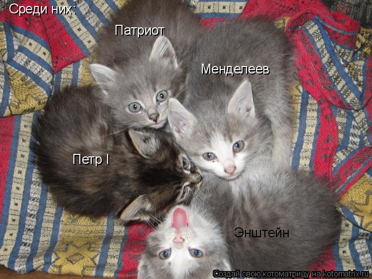 Котоматрица: Среди них: Энштейн Менделеев Петр I Патриот