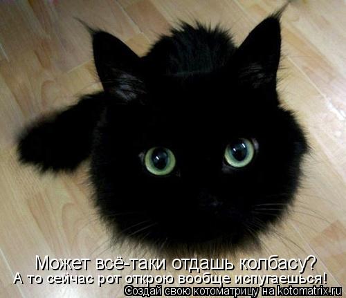 Котоматрица: Может всё-таки отдашь колбасу? А то сейчас рот открою вообще испугаешься!