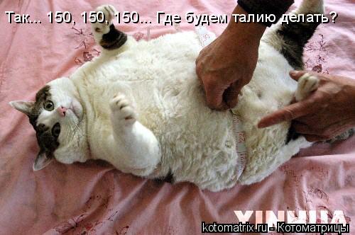 Котоматрица: Так... 150, 150, 150... Где будем талию делать?