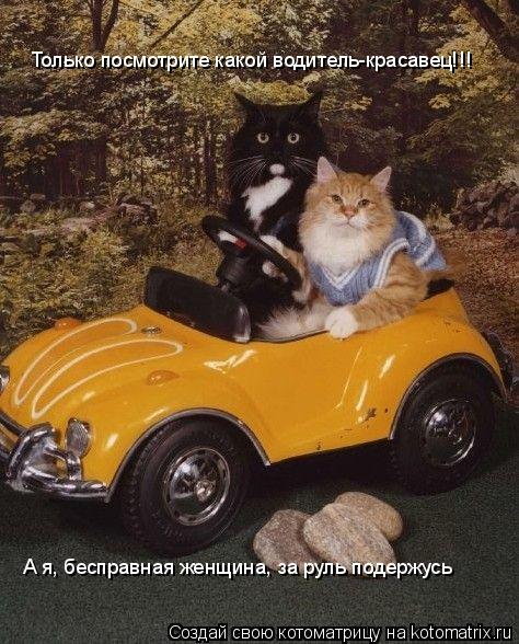 Котоматрица: Только посмотрите какой водитель-красавец!!! А я, бесправная женщина, за руль подержусь