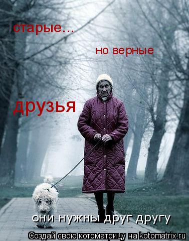 Котоматрица: старые... но верные друзья они нужны друг другу