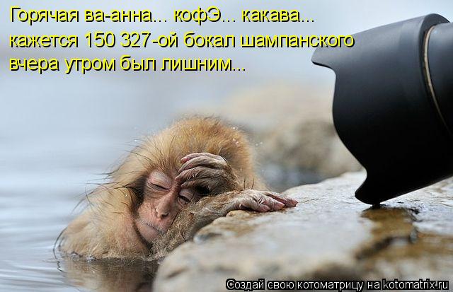 Котоматрица: Горячая ва-анна... кофЭ... какава... кажется 150 327-ой бокал шампанского  вчера утром был лишним...