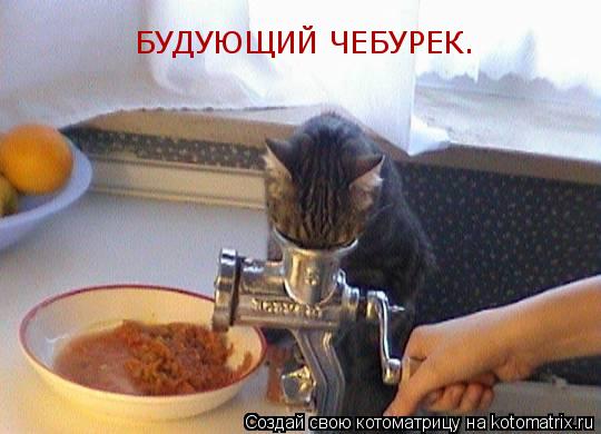Котоматрица: БУДУЮЩИЙ ЧЕБУРЕК.
