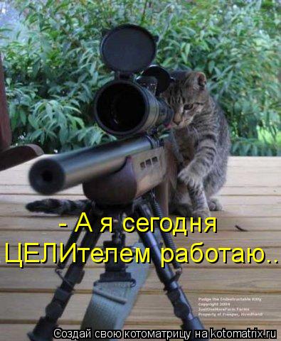 Котоматрица: - А я сегодня  ЦЕЛИтелем работаю...