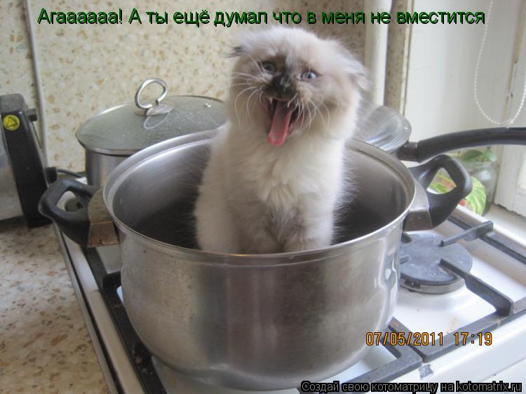 Котоматрица: Агаааааа! А ты ещё думал что в меня не вместится