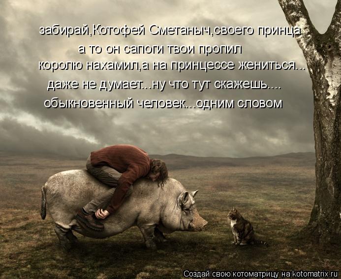 Котоматрица: забирай,Котофей Сметаныч,своего принца а то он сапоги твои пропил королю нахамил,а на принцессе жениться... даже не думает...ну что тут скаже