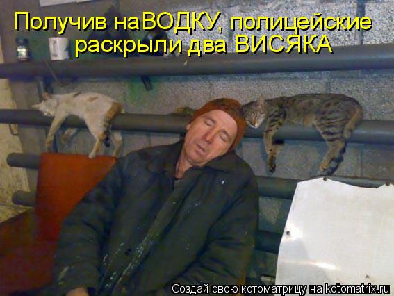 Котоматрица: Получив наВОДКУ, полицейские раскрыли два ВИСЯКА