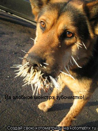 Котоматрица: Йа злобное монстрэ зубочистко!