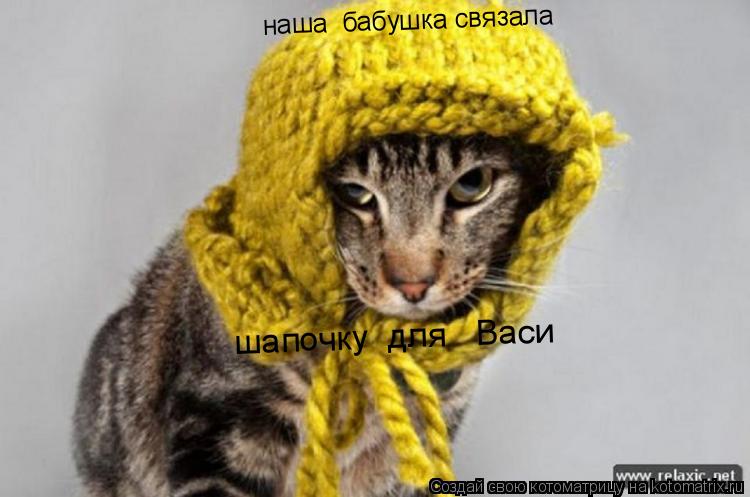 Котоматрица: наша  бабушка связала   шапочку  для   Васи