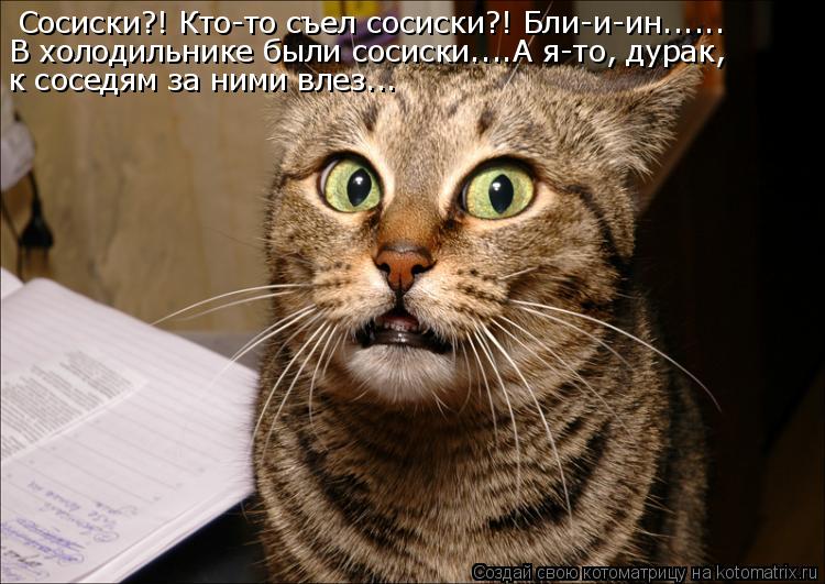 Котоматрица: Сосиски?! Кто-то съел сосиски?! Бли-и-ин...... В холодильнике были сосиски....А я-то, дурак, к соседям за ними влез...