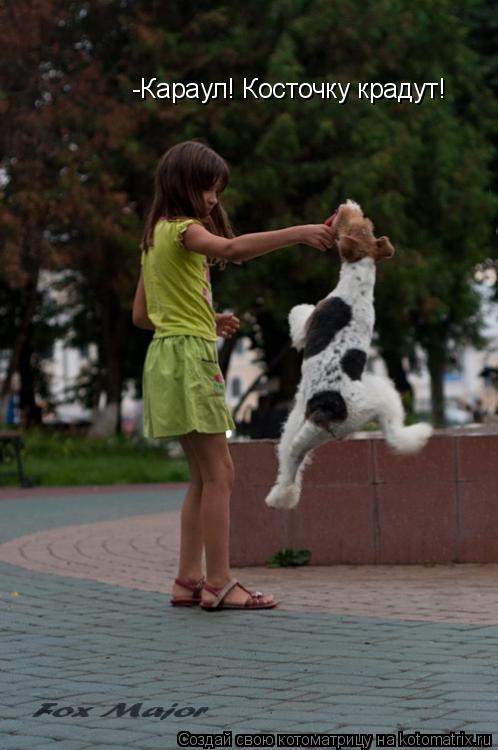 Котоматрица: -Караул! Косточку крадут!