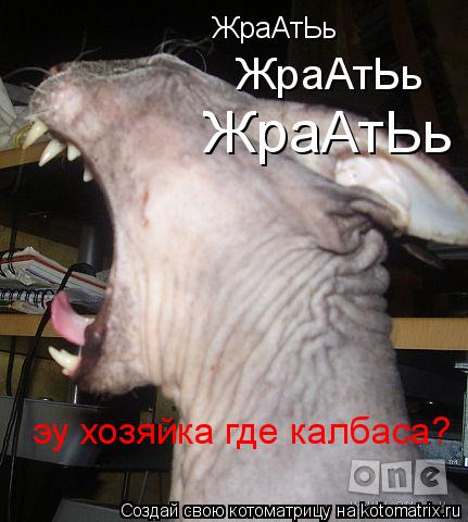 Котоматрица: ЖраАтЬь ЖраАтЬь ЖраАтЬь эу хозяйка где калбаса?