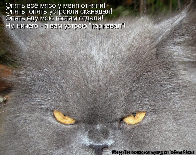 Котоматрица: Опять всё мясо у меня отняли! Опять, опять устроили сканадал! Опять еду мою гостям отдали! Ну, ничего - я вам устрою "карнавал"!