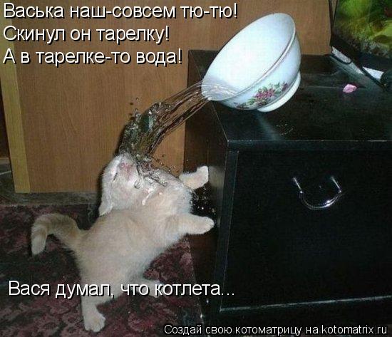 Котоматрица: Васька наш-совсем тю-тю! Скинул он тарелку! А в тарелке-то вода! Вася думал, что котлета...