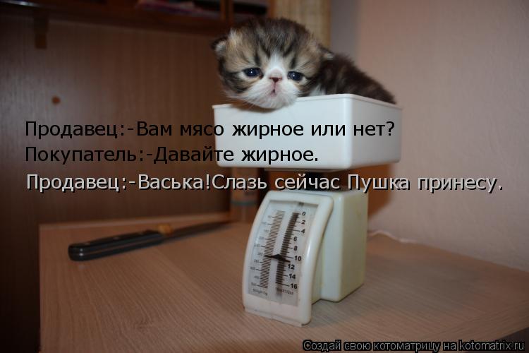 Котоматрица: Продавец:-Вам мясо жирное или нет?  Покупатель:-Давайте жирное. Продавец:-Васька!Слазь сейчас Пушка принесу.