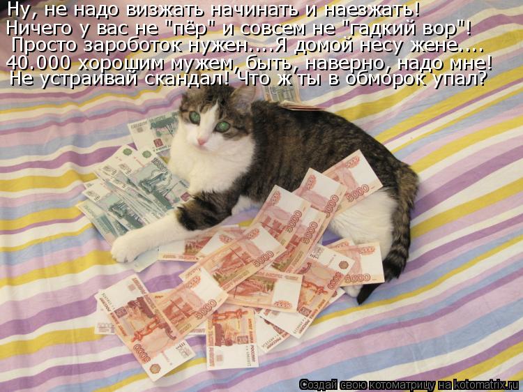 Котоматрица: Ну, не надо визжать начинать и наезжать! Ничего у вас не "пёр" и совсем не "гадкий вор"! Просто зароботок нужен....Я домой несу жене.... 40.000 хороши