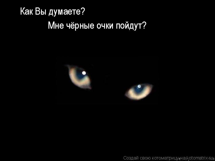Как Вы думаете? Мне чёрные очки пойдут?... Котоматрица: Как Вы думаете? Мне чёрные очки пойдут?