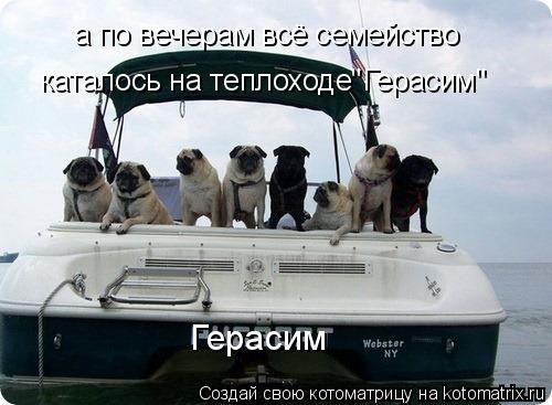 Котоматрица: а по вечерам всё семейство каталось на теплоходе"Герасим" Герасим