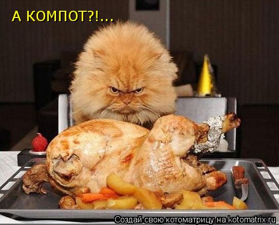 Котоматрица: А КОМПОТ?!...