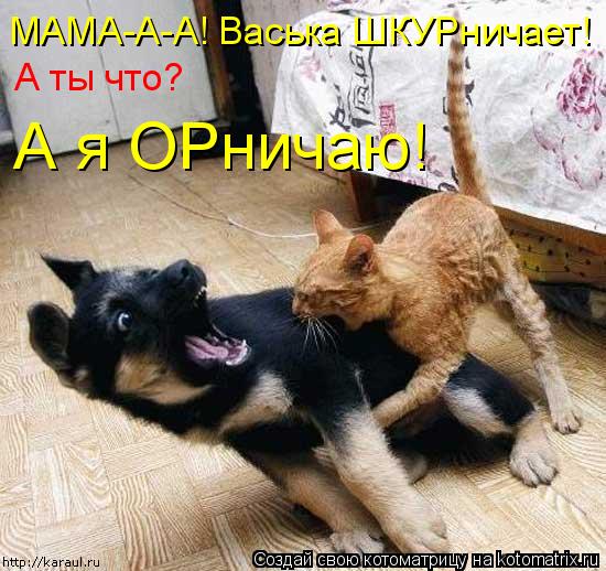 МАМА-А-А! Васька ШКУРничает! А ты что? А я ОРничаю!... Котоматрица: МАМА-А-А! Васька ШКУРничает! А ты что? А я ОРничаю!