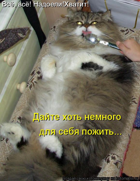 Котоматрица: Всё, всё! Надоели!Хватит! Дайте хоть немного для себя пожить...