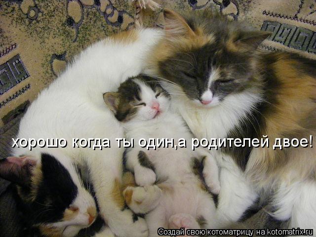 хорошо когда ты один,а родителей двое!... Котоматрица: хорошо когда ты один,а родителей двое!