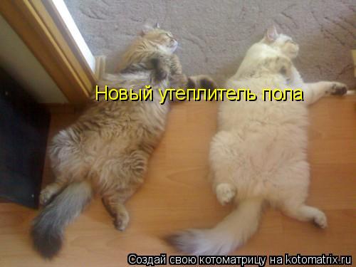 Котоматрица: Новый утеплитель пола