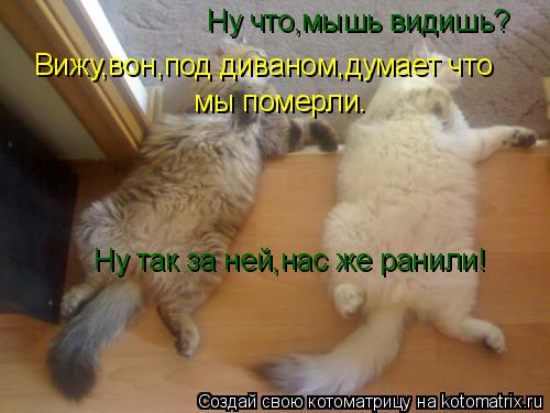 Котоматрица: Ну что,мышь видишь? Вижу,вон,под диваном,думает что мы померли. Ну так за ней,нас же ранили!
