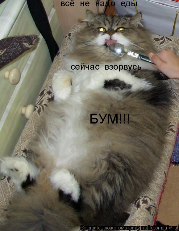 Котоматрица: всё  не  надо  еды сейчас  взорвусь    БУМ!!!