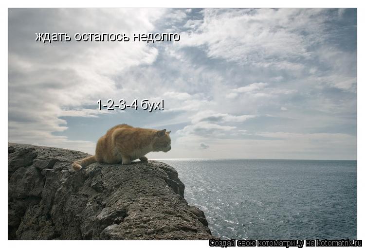 Котоматрица: ждать осталось недолго 1-2-3-4 бух!