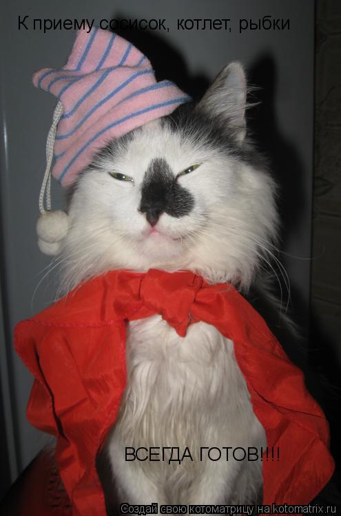 Котоматрица: К приему сосисок, котлет, рыбки ВСЕГДА ГОТОВ!!!!