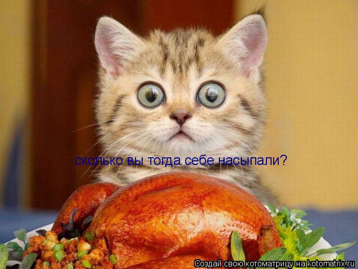 Котоматрица: сколько вы тогда себе насыпали?
