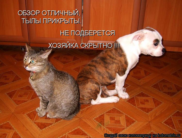 ОБЗОР ОТЛИЧНЫЙ, ТЫЛЫ ПРИКРЫТЫ. НЕ ПОДБЕРЕТСЯ ХОЗЯЙКА СКРЫТНО !!!... Котоматрица: ОБЗОР ОТЛИЧНЫЙ, ТЫЛЫ ПРИКРЫТЫ. НЕ ПОДБЕРЕТСЯ ХОЗЯЙКА СКРЫТНО !!!