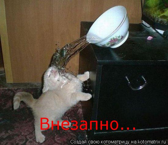Котоматрица: Внезапно...