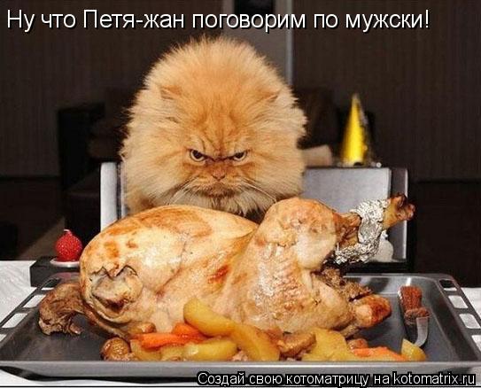 Котоматрица: Ну что Петя-жан поговорим по мужски!