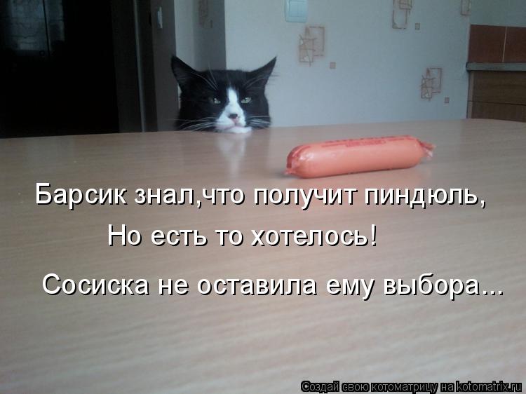 Котоматрица: Барсик знал,что получит пиндюль, Но есть то хотелось! Сосиска не оставила ему выбора...