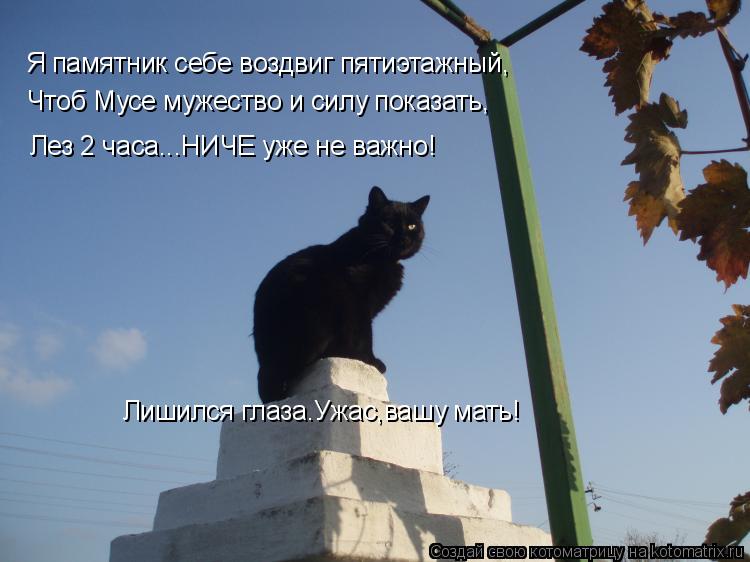 Я памятник себе воздвиг пятиэтажный, Чтоб Мусе мужество и силу показать, Лез 2 часа...НИЧЕ уже не важ... Котоматрица: Я памятник себе воздвиг пятиэтажный, Чтоб Мусе мужество и силу показать, Лез 2 часа...НИЧЕ уже не важно! Лишился глаза.Ужас,вашу мать!