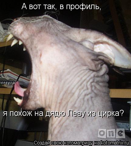 А вот так, в профиль, я похож на дядю Леву из цирка?... Котоматрица: А вот так, в профиль, я похож на дядю Леву из цирка?
