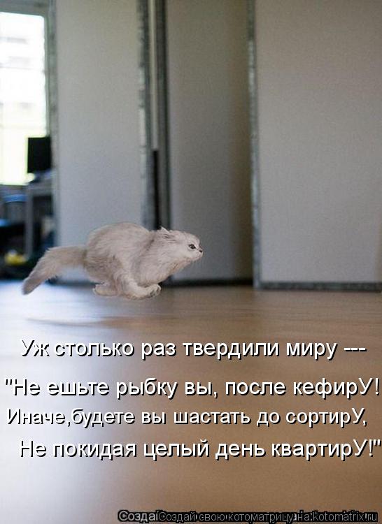 Котоматрица: Уж столько раз твердили миру --- Иначе,будете вы шастать до сортирУ, "Не ешьте рыбку вы, после кефирУ! Не покидая целый день квартирУ!"