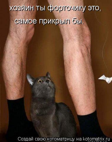 хозяин ты форточику это, самое прикрыл бы.... Котоматрица: хозяин ты форточику это, самое прикрыл бы.