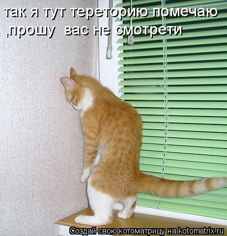 так я тут тереторию помечаю ,прошу вас не смотрети... Котоматрица: так я тут тереторию помечаю ,прошу вас не смотрети