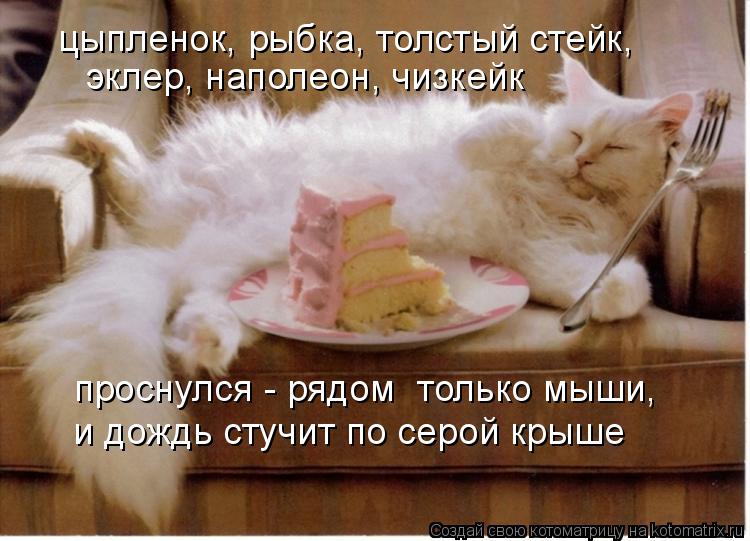 цыпленок, рыбка, толстый стейк, эклер, наполеон, чизкейк проснулся - рядом только мыши, и дождь стуч... Котоматрица: цыпленок, рыбка, толстый стейк, эклер, наполеон, чизкейк проснулся - рядом только мыши, и дождь стучит по серой крыше