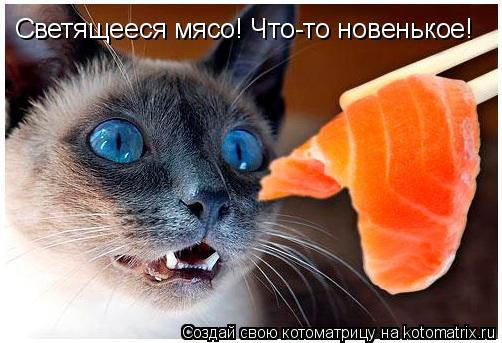 Светящееся мясо! Что-то новенькое!... Котоматрица: Светящееся мясо! Что-то новенькое!