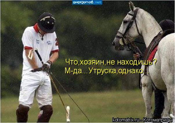 Что,хозяин,не находишь? М-да...Утруска,однако...... Котоматрица: Что,хозяин,не находишь? М-да...Утруска,однако...