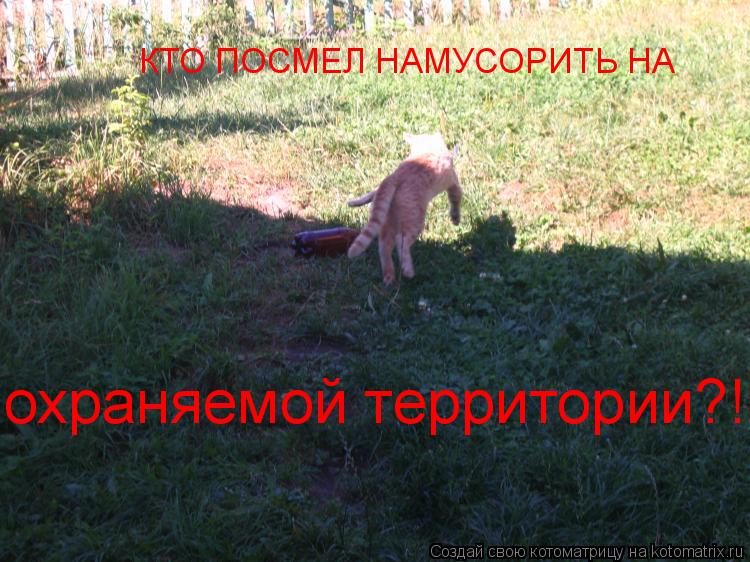 КТО ПОСМЕЛ НАМУСОРИТЬ НА охраняемой территории?!!... Котоматрица: КТО ПОСМЕЛ НАМУСОРИТЬ НА охраняемой территории?!!