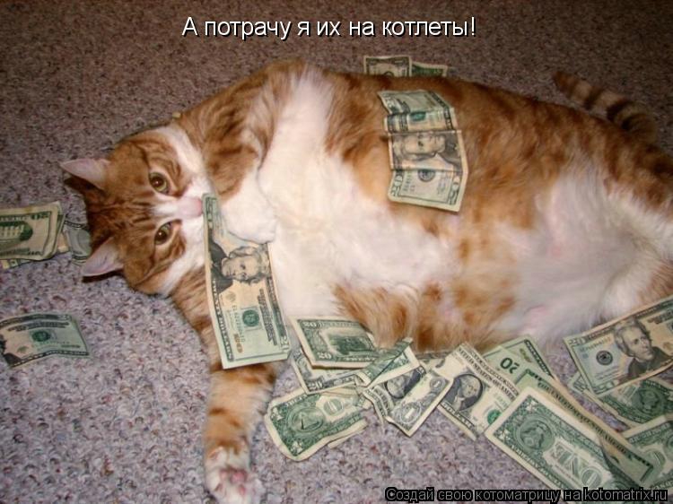 А потрачу я их на котлеты!... Котоматрица: А потрачу я их на котлеты!