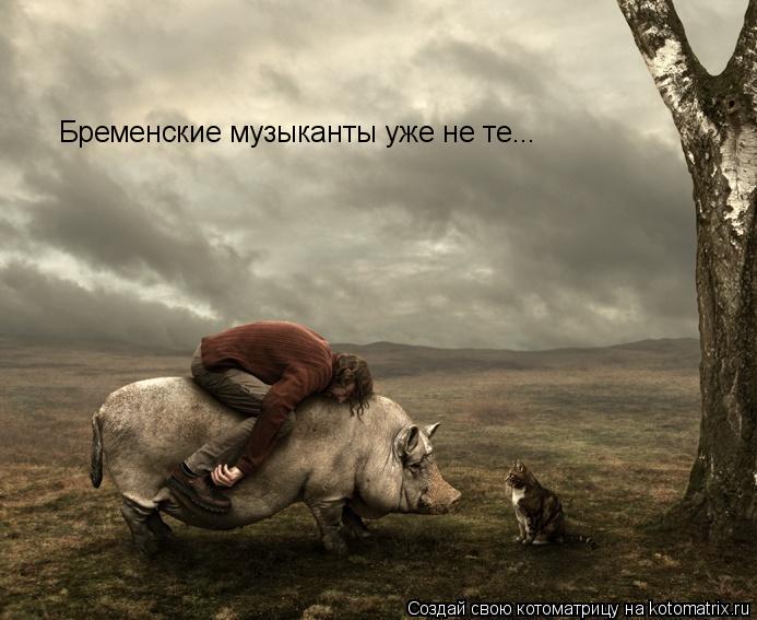 Бременские музыканты уже не те...... Котоматрица: Бременские музыканты уже не те...